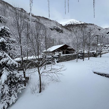 فيلا Vikendice Biocinovici Kolašin المظهر الخارجي الصورة